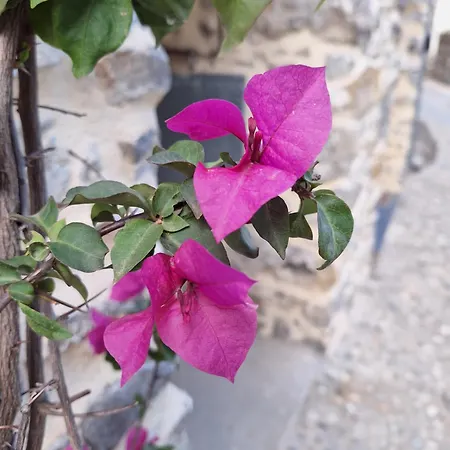 Casa Del Relax E Dello Sport * Colletta