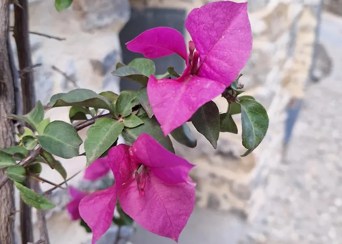 Casa Del Relax E Dello Sport * Colletta